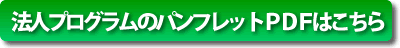 �p���t���b�gPDF�͂����炩��